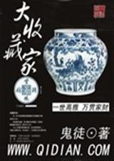 大收藏家封面