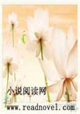 梦美易碎封面