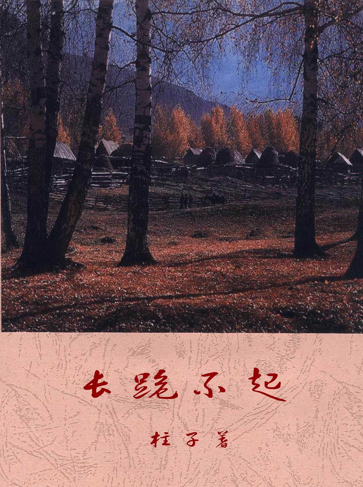 长跪不起封面