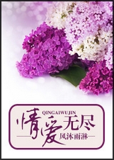 情爱无尽封面