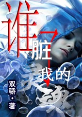 谁脏了我的灵魂封面