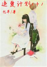 追爱计划1+1封面