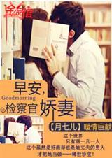 早安,检察官娇妻 完封面