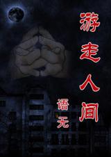 游走人间封面