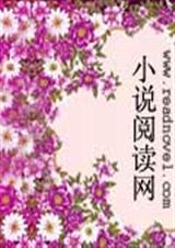 浮生梦律封面