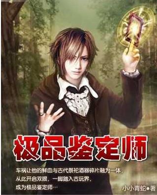 极品鉴定师(全文阅读)封面