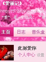 爱丽记封面