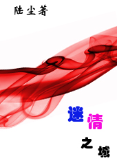 迷情之城封面