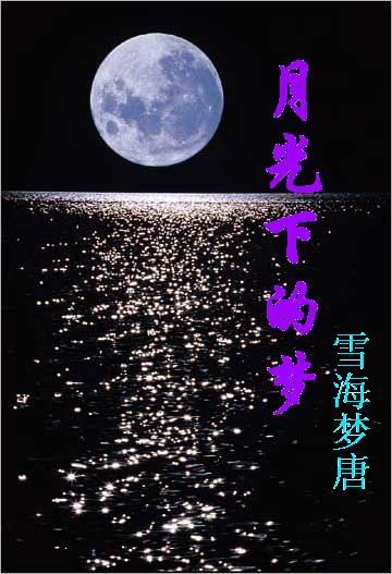 月光下的梦封面