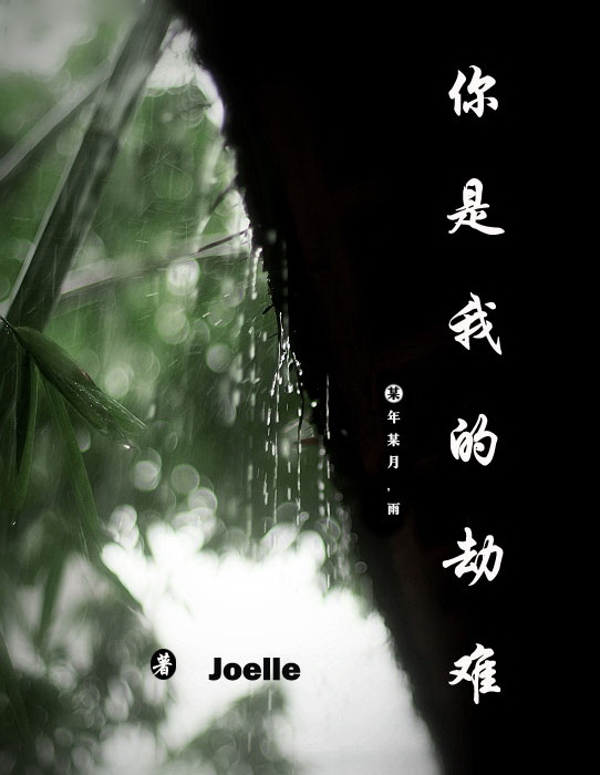 你是我的劫难封面