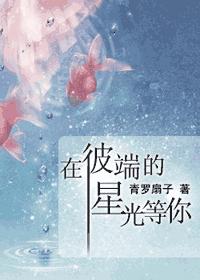 在彼端的星光等你封面