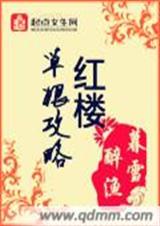 红楼草根攻略封面