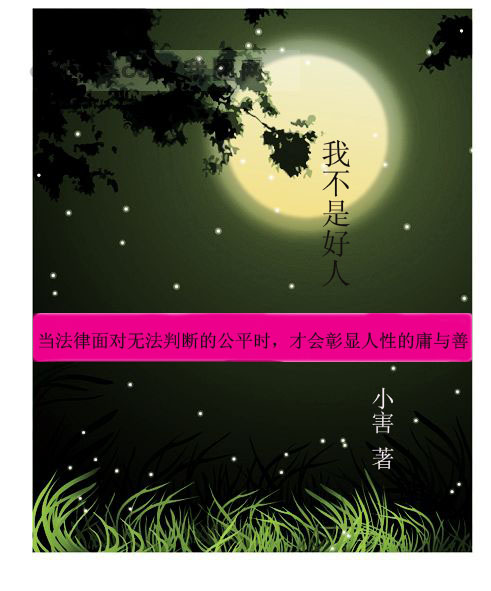 我不是好人封面