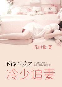 不得不爱之冷少追妻封面