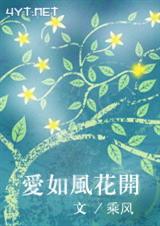 爱如风花开 (VIP完结,军婚,高干)封面