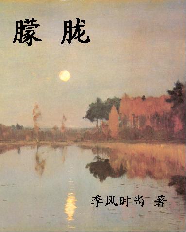 朦胧封面