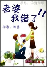 老婆,我错了!封面