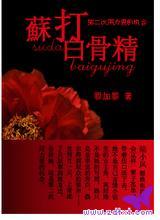 苏打白骨精封面