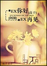 EX你好,EX再见封面