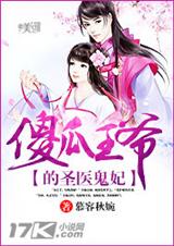 傻瓜王爷的圣医封面