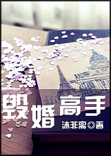 毁婚高手封面