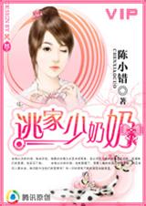 逃家少奶奶封面