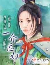 一介匹妇(wan)封面