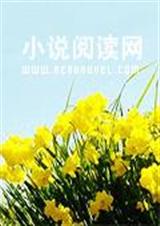 低头吧老师封面