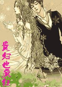 贵妇也疯狂封面