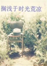 搁浅于时光荒凉封面