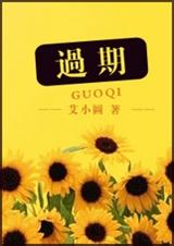 过期(出书版)封面
