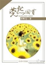 莞然回首封面