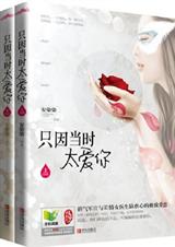 只因当时太爱你by安染染封面