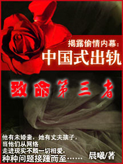 中国式出轨:致命第三者封面