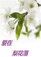 爱在梨花落封面