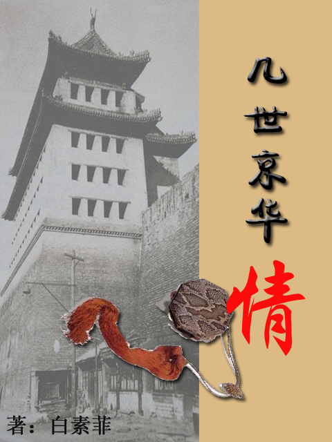几世京华情封面