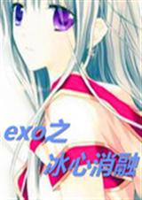 exo之冰心消融封面
