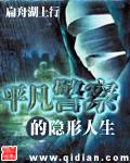 平凡警察的隐形人生封面
