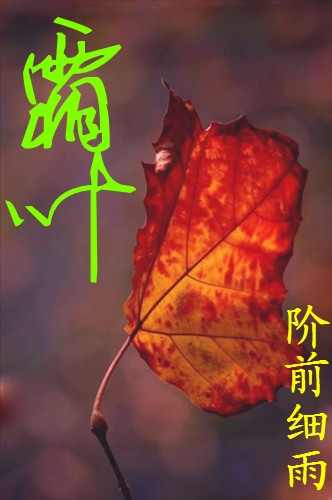 霜叶封面