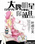 大牌明星请站住封面