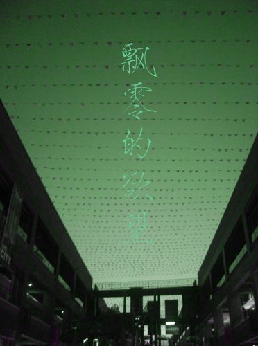 飘零的爱情封面