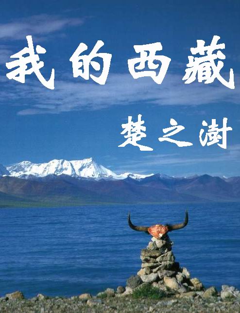 我的西藏封面