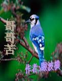 哥哥苦封面