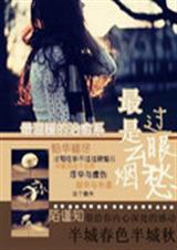 最是云烟过眼愁封面