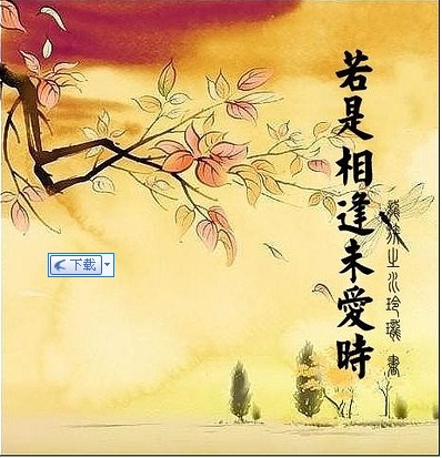 若是相逢未爱时封面