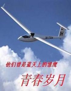 青春岁月封面