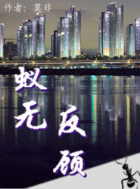 蚁无反顾封面