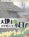 大地主的小日子(下)封面