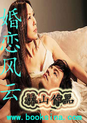 婚恋风云封面
