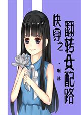 快穿之翻转女配路封面